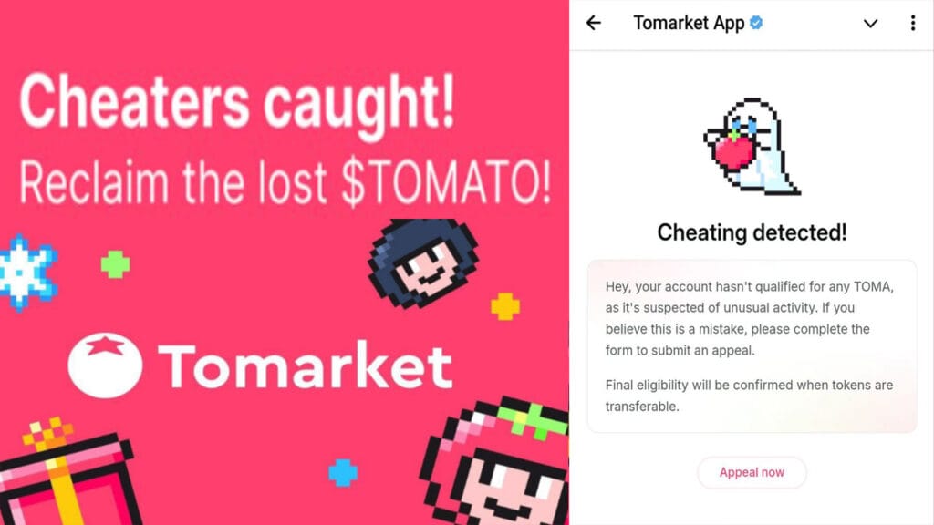 Tomarket Cheating Detected Token Appeal Now Tomarket Token Not Show; TOMARKET; TOMARKET UPDATE,; Token Appeal; airdropsbd.com;